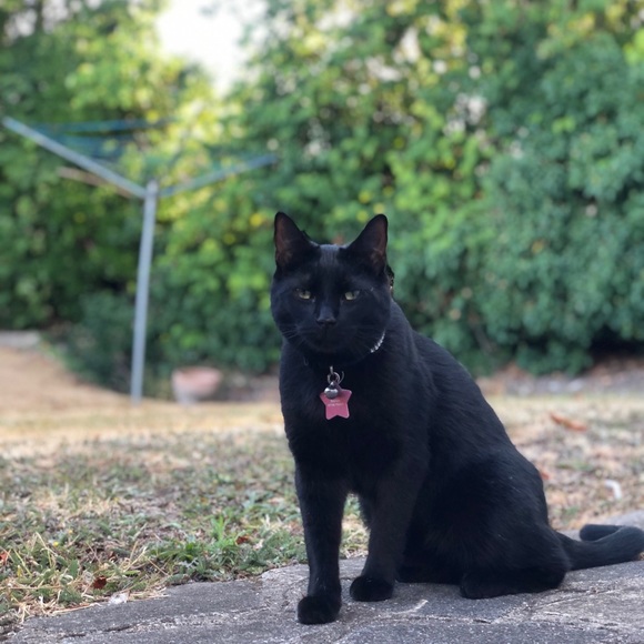 Meet your Posher, Mark - Picture 3 of 8